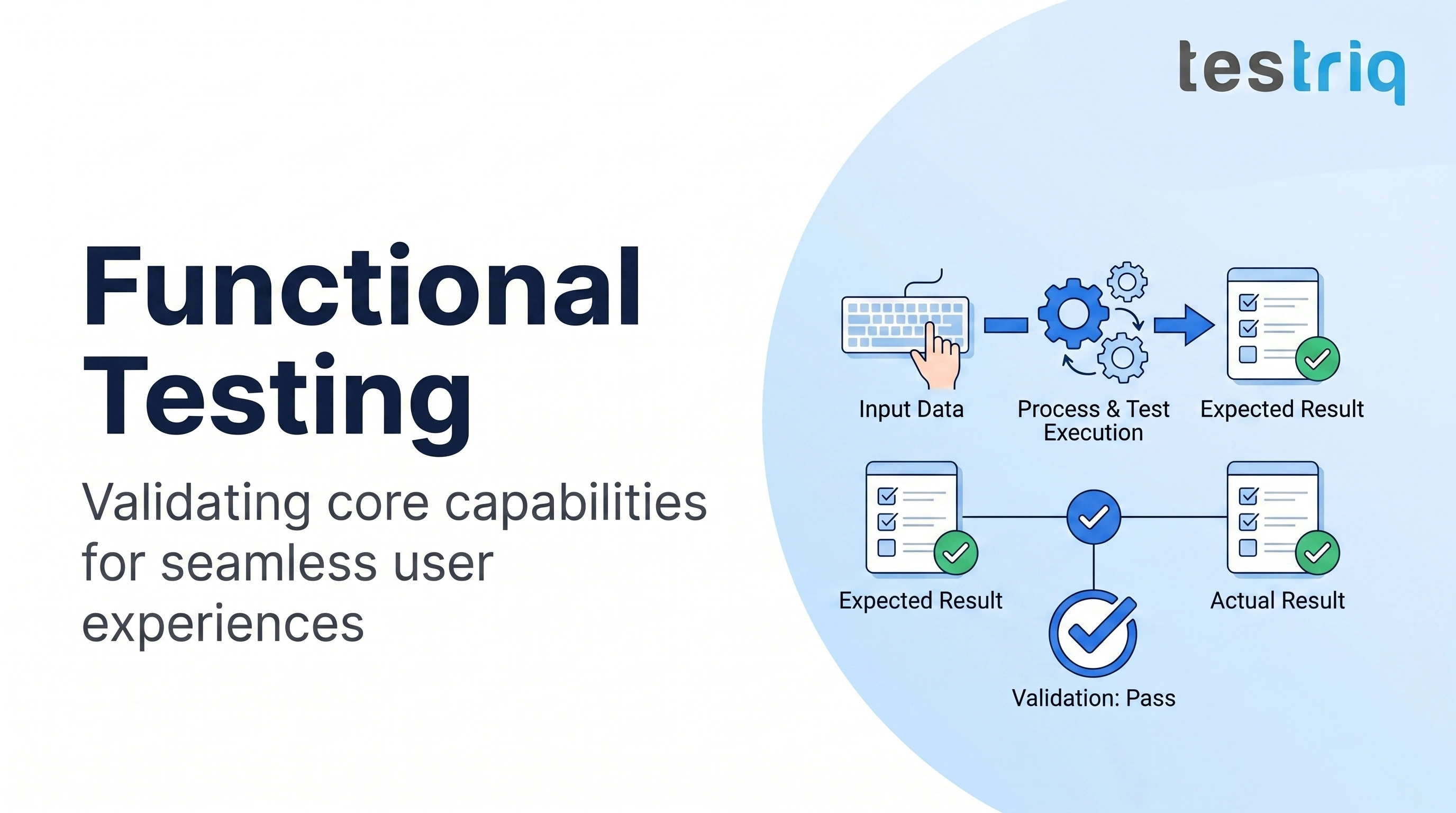 Functional Testing Services | Software QA & Automation | Testriq